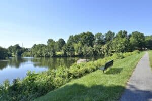 A bench near the water on a sunny day.